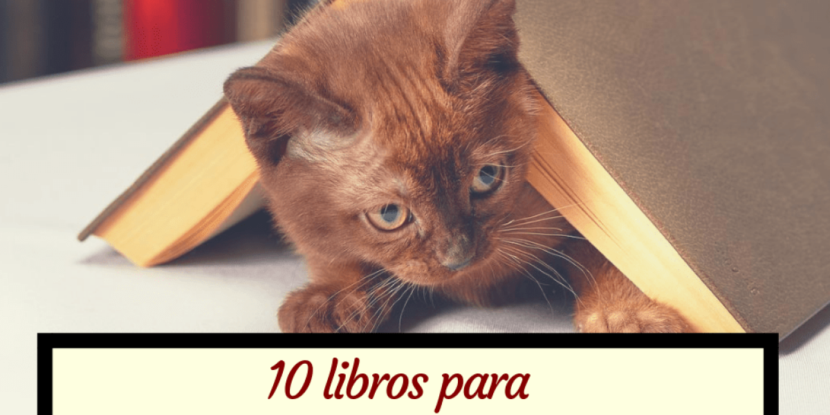 post 10 libros para amantes de los gatos